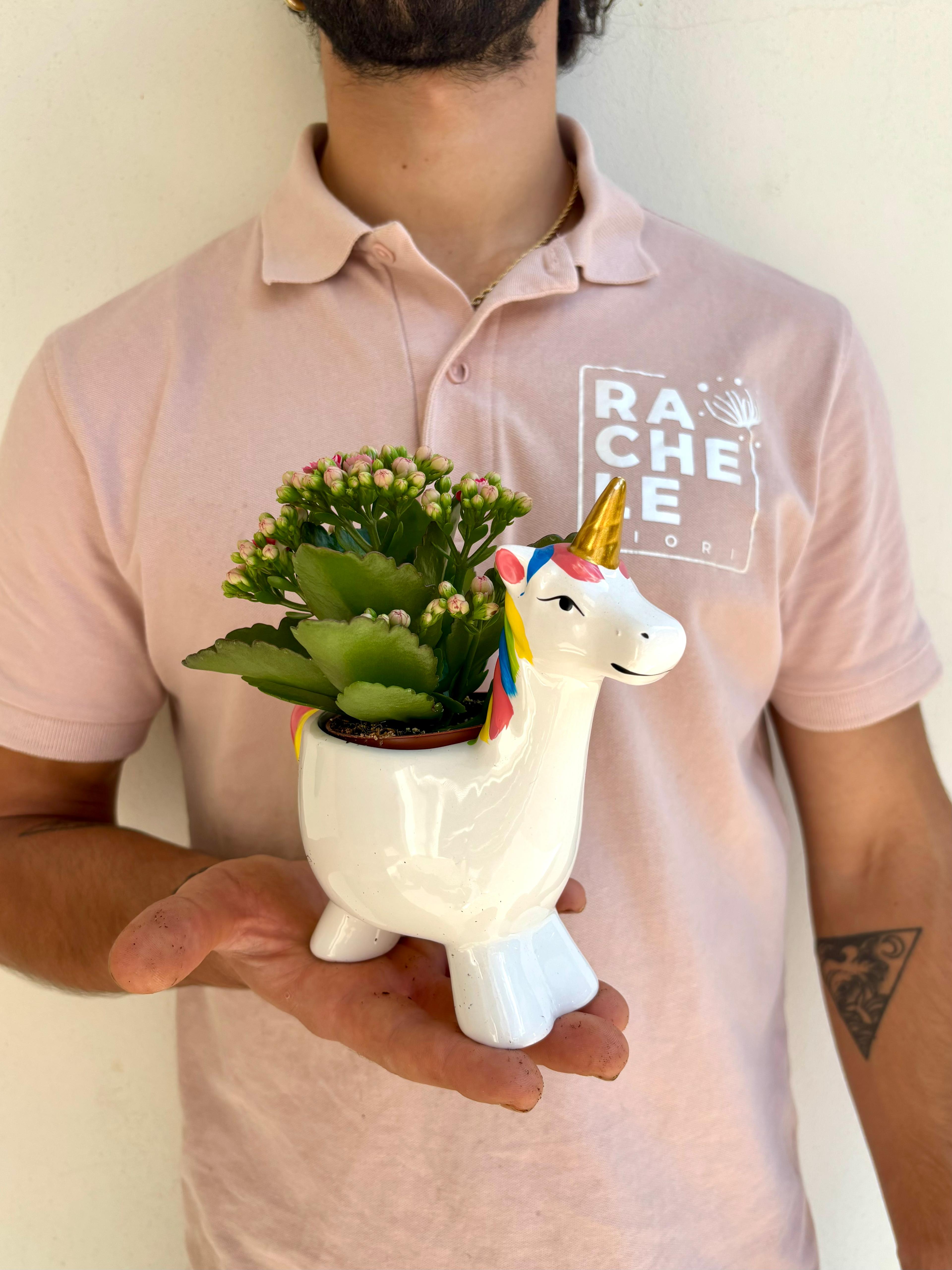 Unicorno