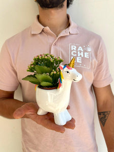 Unicorno