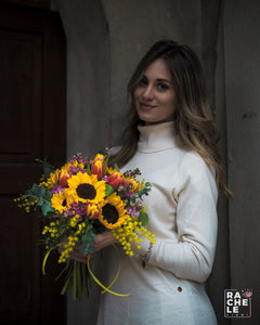 Quattro Primavere