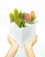 Carica l&#39;immagine nel visualizzatore di Gallery, White Cube
