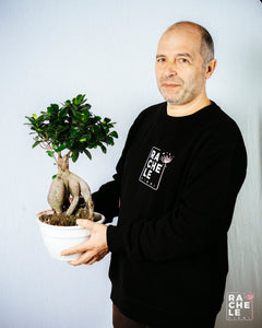 Bonsai Ficus Ginseng
