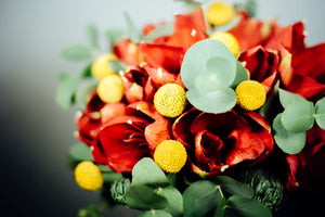 Bouquet di amaryllis che, nel linguaggio dei fiori, simboleggiano l'eleganza, la fierezza e la bellezza splendente, uniti alla timidezza. Bouquet realizzato con:  -	Felce  -	Eucalipto  -	Crasspedia  -	Amaryllis  L’immagine corrisponde alla misura media.