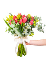 Carica l&#39;immagine nel visualizzatore di Gallery, Bouquet di tulipani che, nel linguaggio dei fiori, rappresentano il vero amore: perfetti per esprimere una dichiarazione d’amore. Il messaggio è quello di indicare la bellezza degli occhi di chi lo riceve in dono.  Bouquet realizzato con:      Felce     Eucalipto     Solidago     Tulipani
