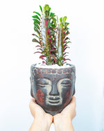 Carica l&#39;immagine nel visualizzatore di Gallery, Buddha Grande
