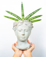 Carica l&#39;immagine nel visualizzatore di Gallery, Dea
