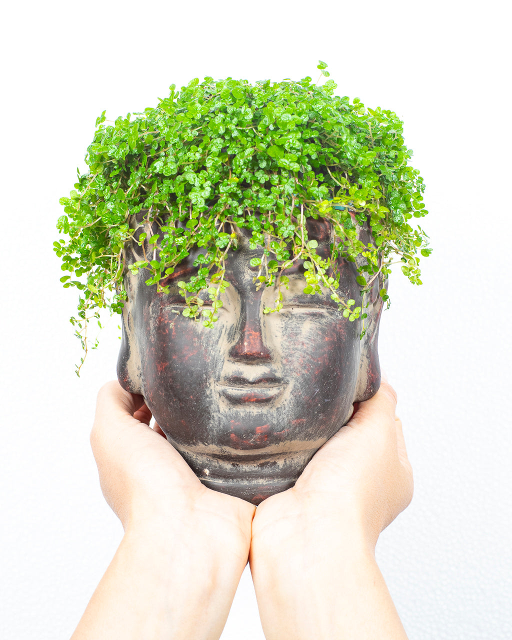 Buddha Piccolo