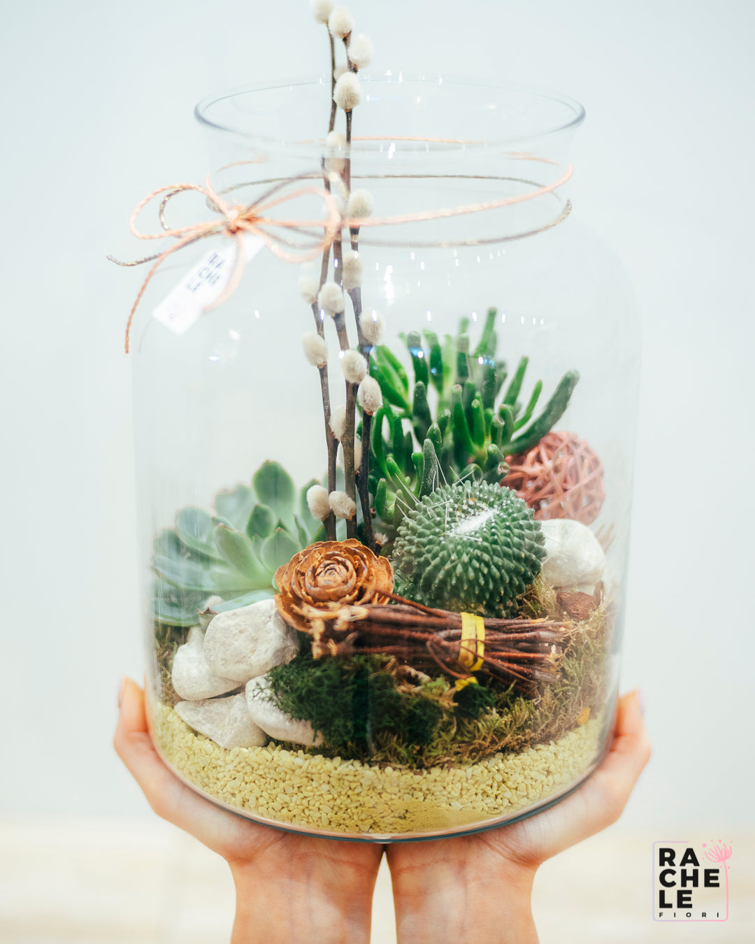 Terrarium Campana