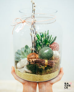 Terrarium Campana