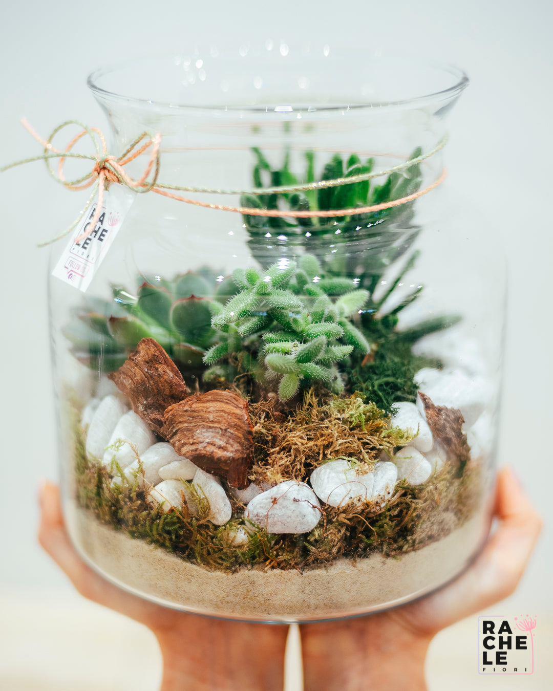 Terrarium Campana