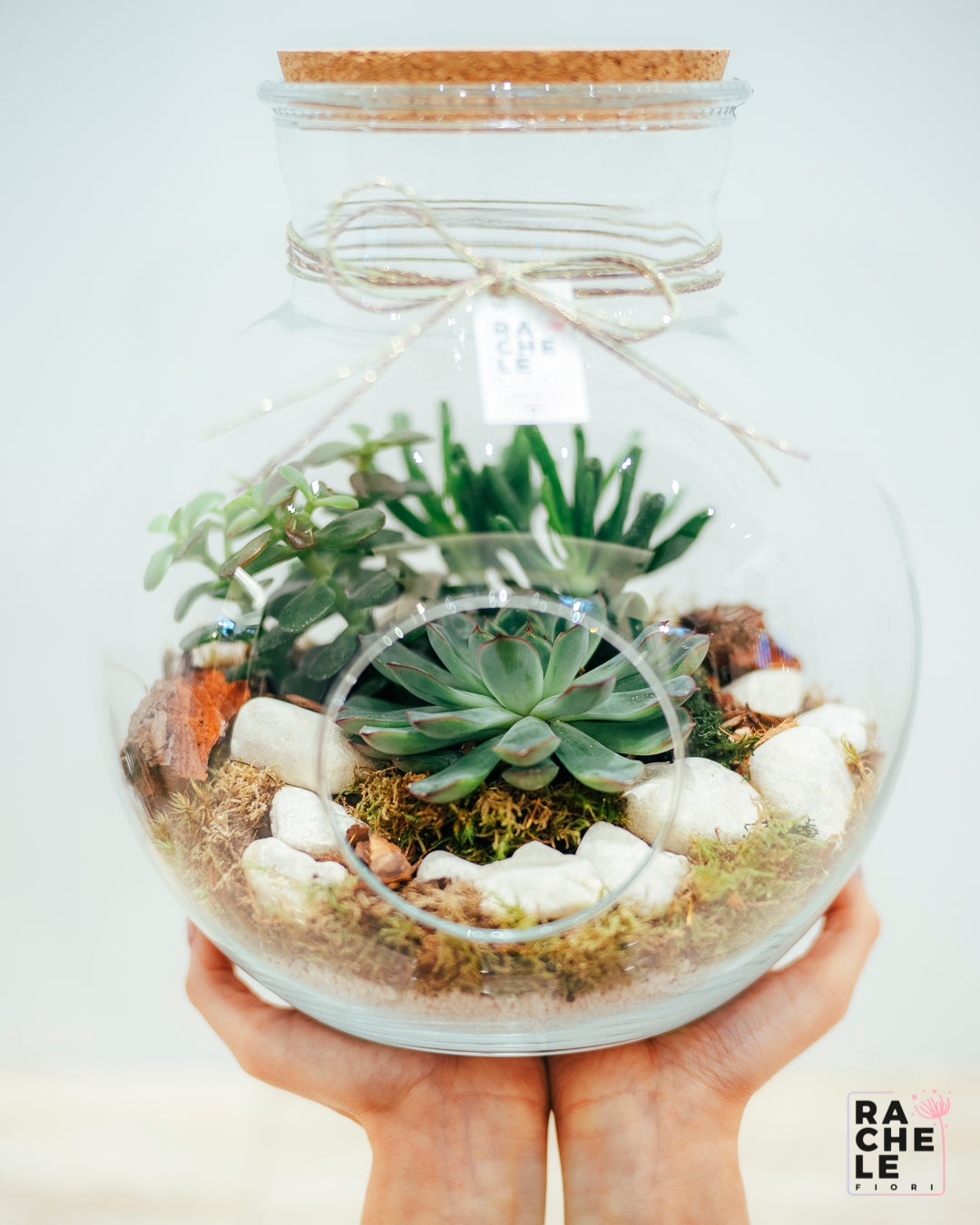 Terrarium ball